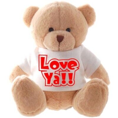 12 Inch White Teddy Bear Holiday Stuffed Toys Embroidery Printing